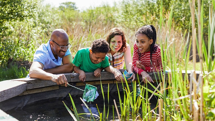 Pond dipping