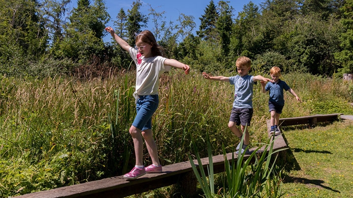 Adventure play area