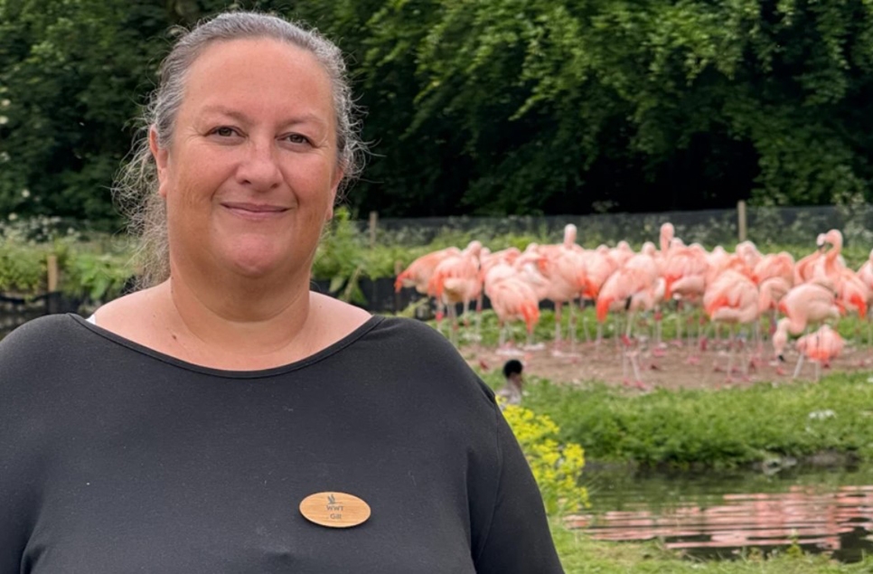 Meet the team: Gill Pipes - Centre Manager (part 2)