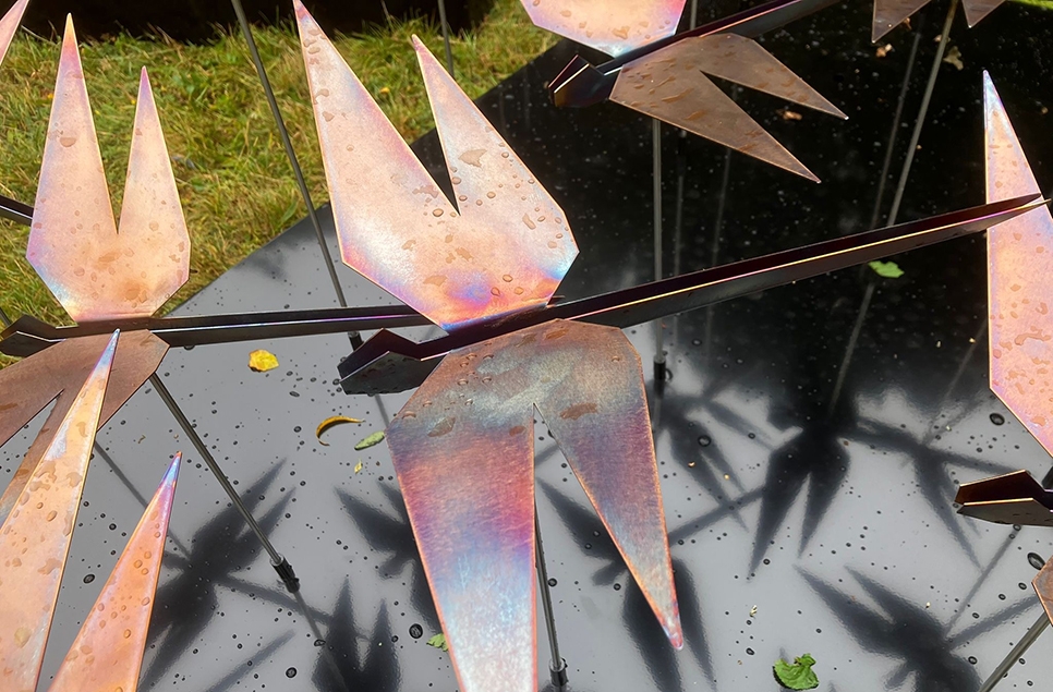 New art installation to bring the superpowers of dragonflies to WWT Washington