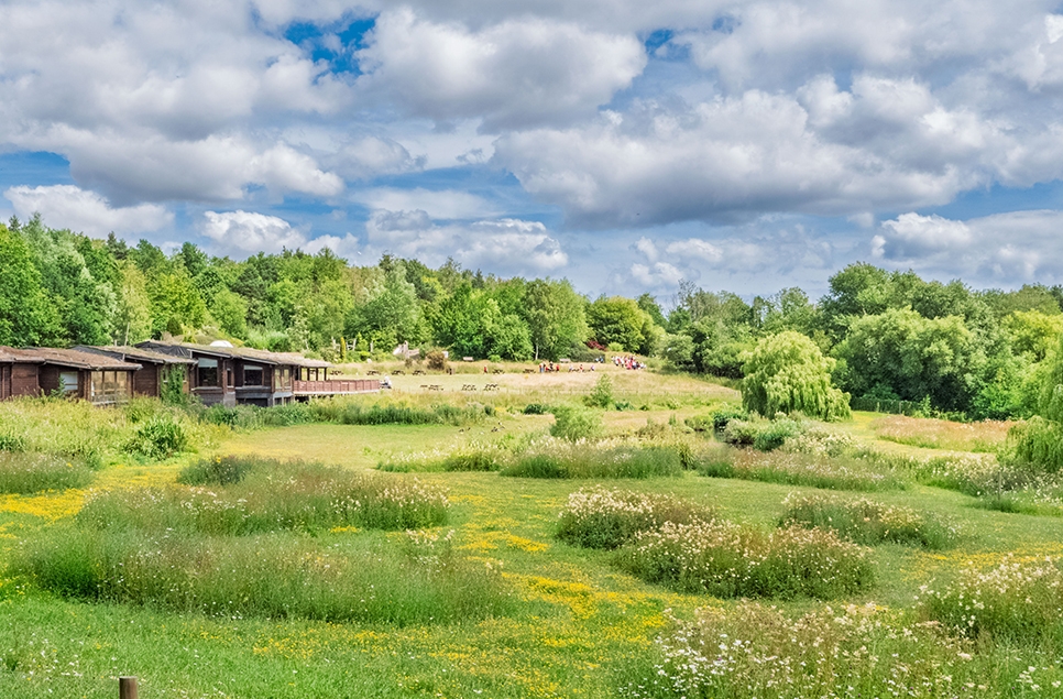 Visitor centre in summer - Ian H _ June 25.jpg