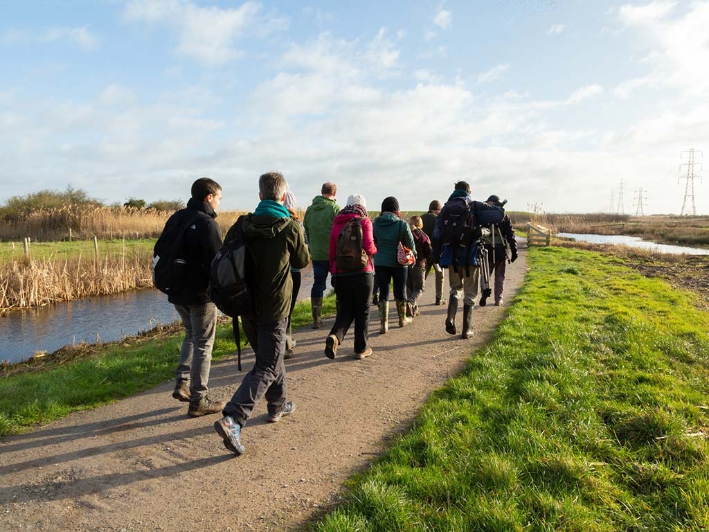 Visitors on a bespoke guided walk at Steart Marshes