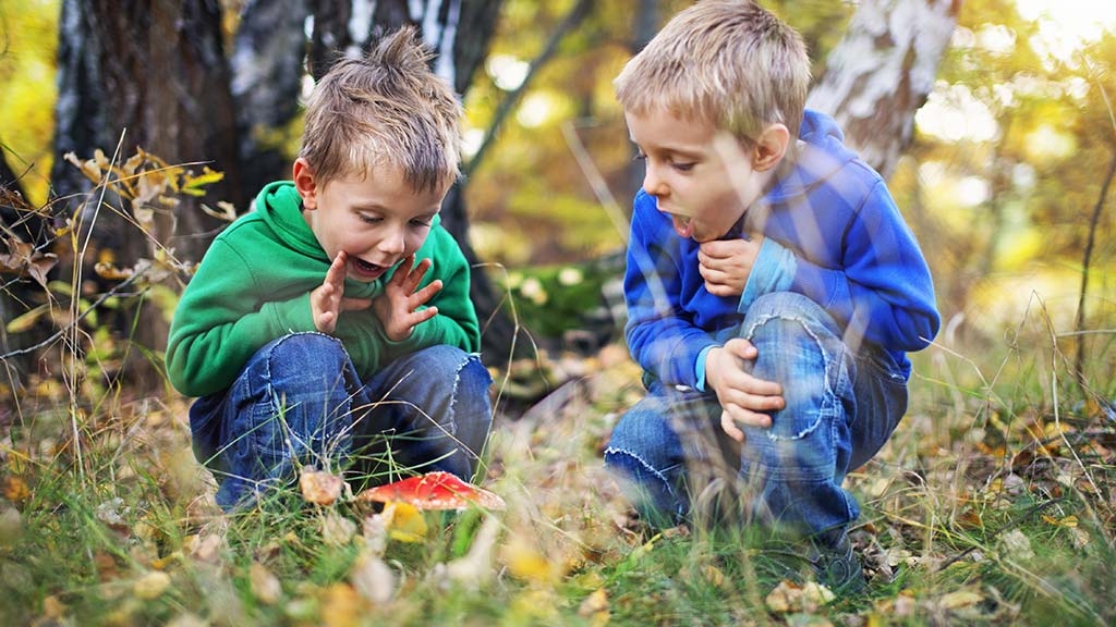 Visiting children looking excitedly at a fly agaric mushroom on the woodland floor