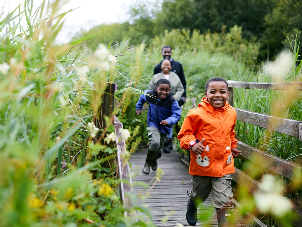 Reedbed boardwalk AR 768x1024.jpg