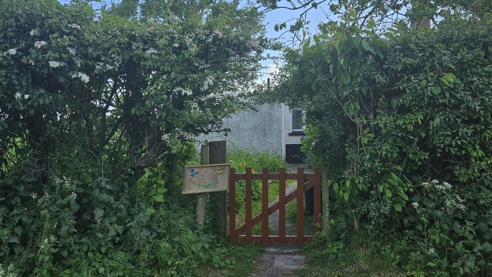 Cottage garden or miniature nature reserve?