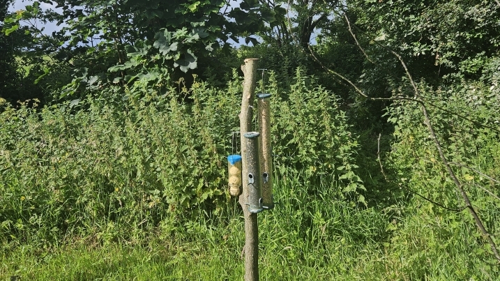 feeding station.jpg