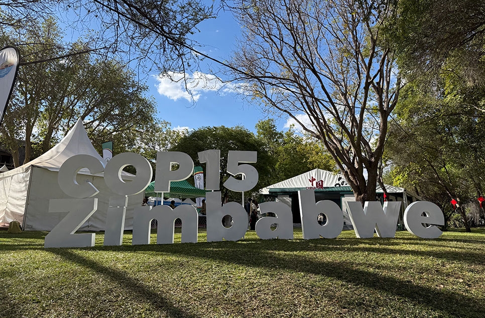 COP15 has just ended – what does this mean for wetlands?