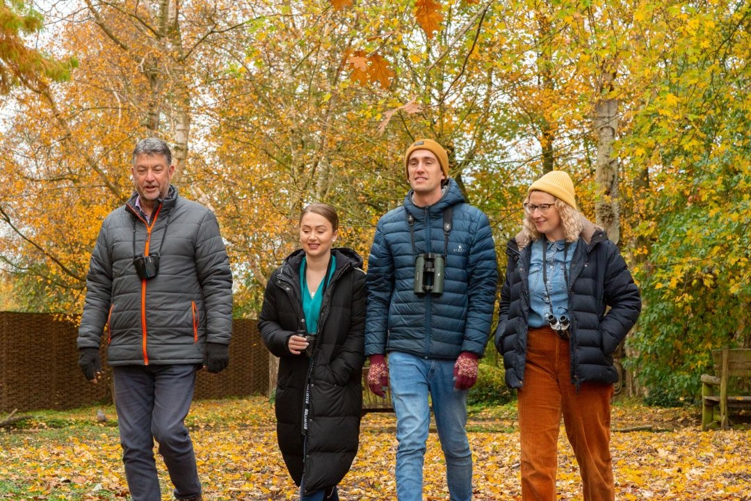 Autumn Bird Walk