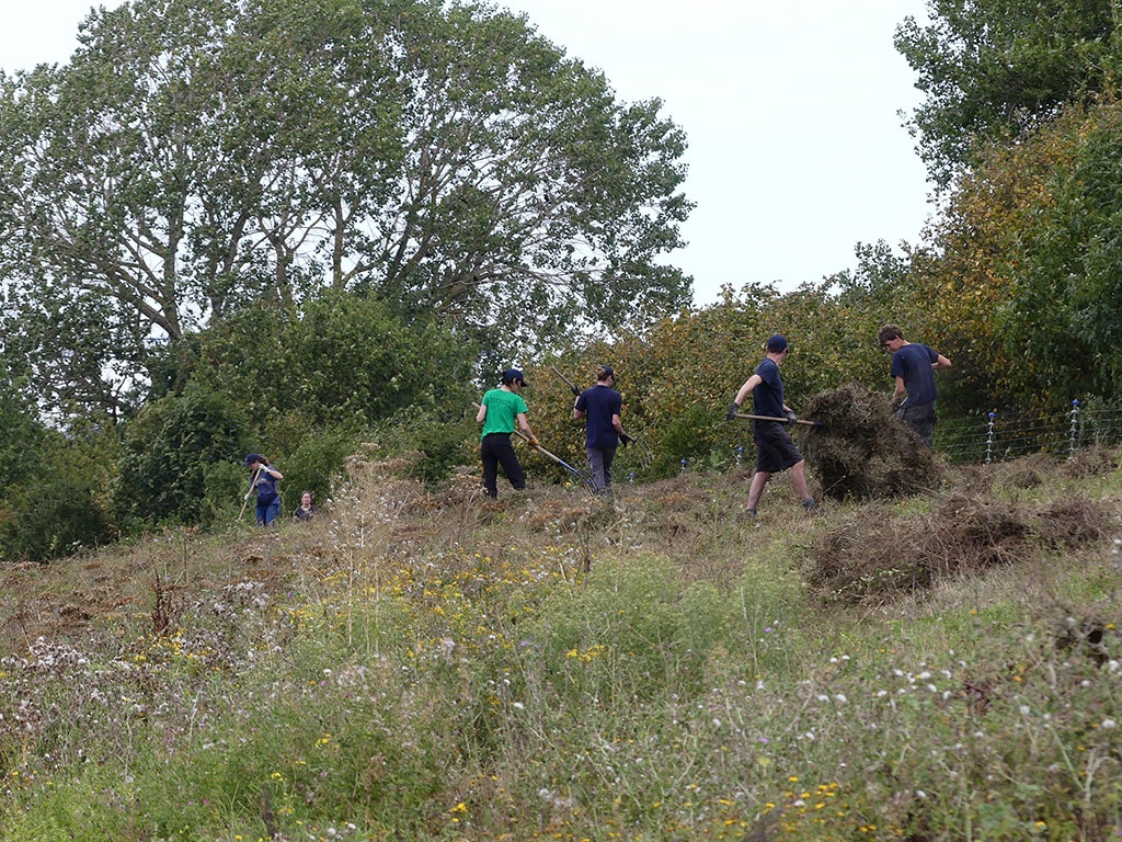A team of six people work on a steep grassy slope making hay by hand.