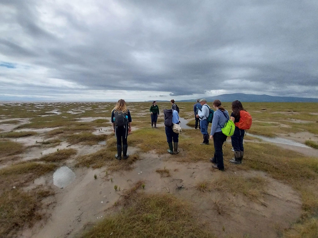 A group of people look out over the saltmarsh at WWT Caerlaverock where they’re being trained how to ID saltmarsh plants