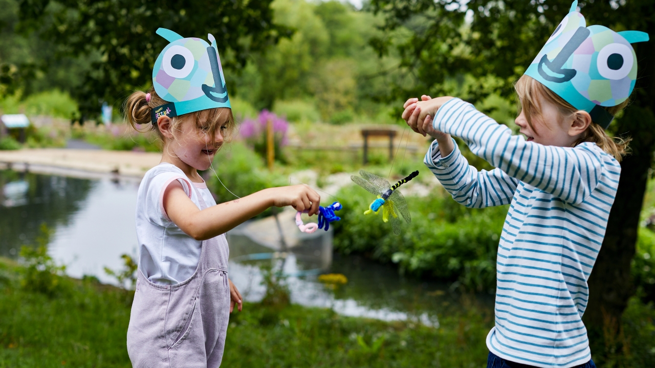 It's not too late to wing your way to WWT Llanelli's Dragonfly Festival