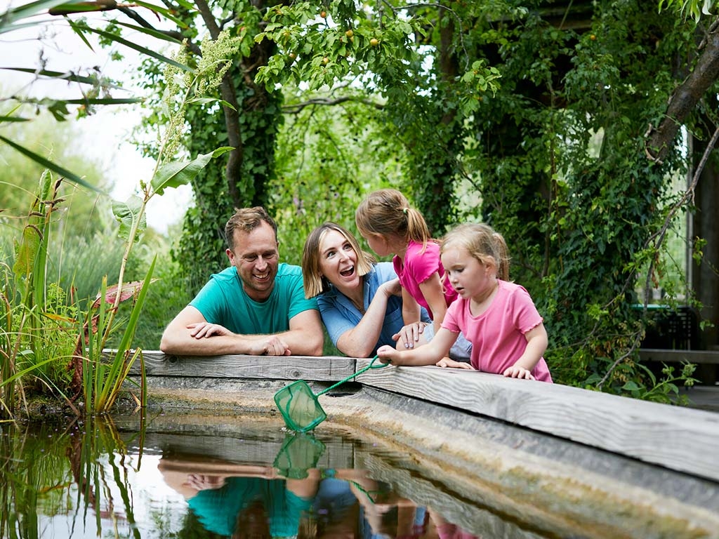 Pond Dipping
