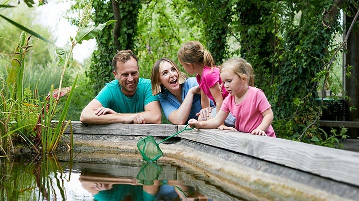 summer pond.jpeg