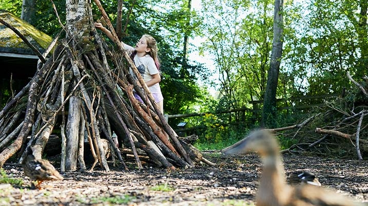 A child building a den at WWT Llanelli