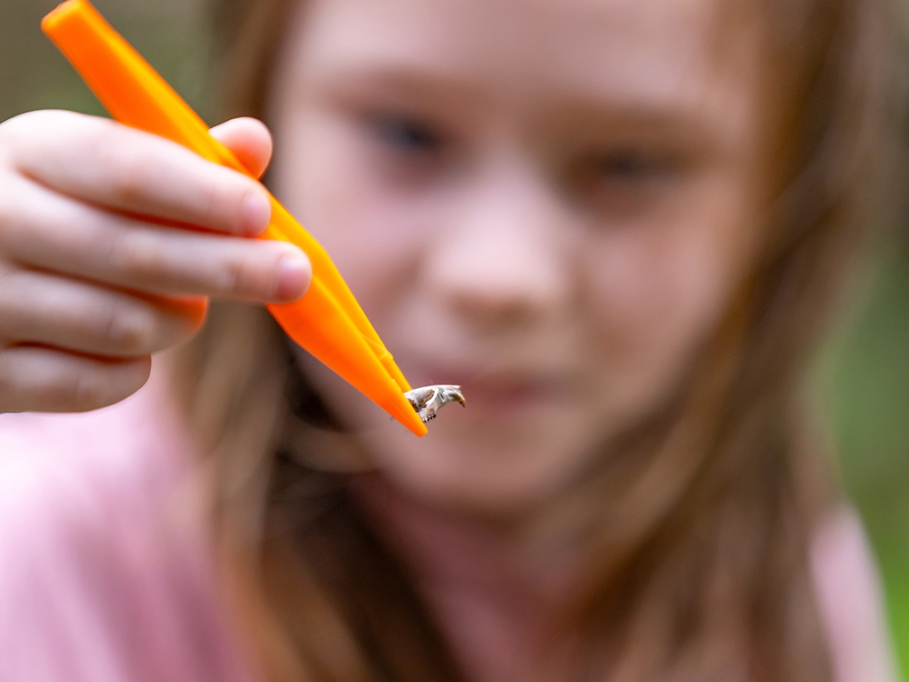Homeschoolers learn about Nocturnal nature this October at special sessions