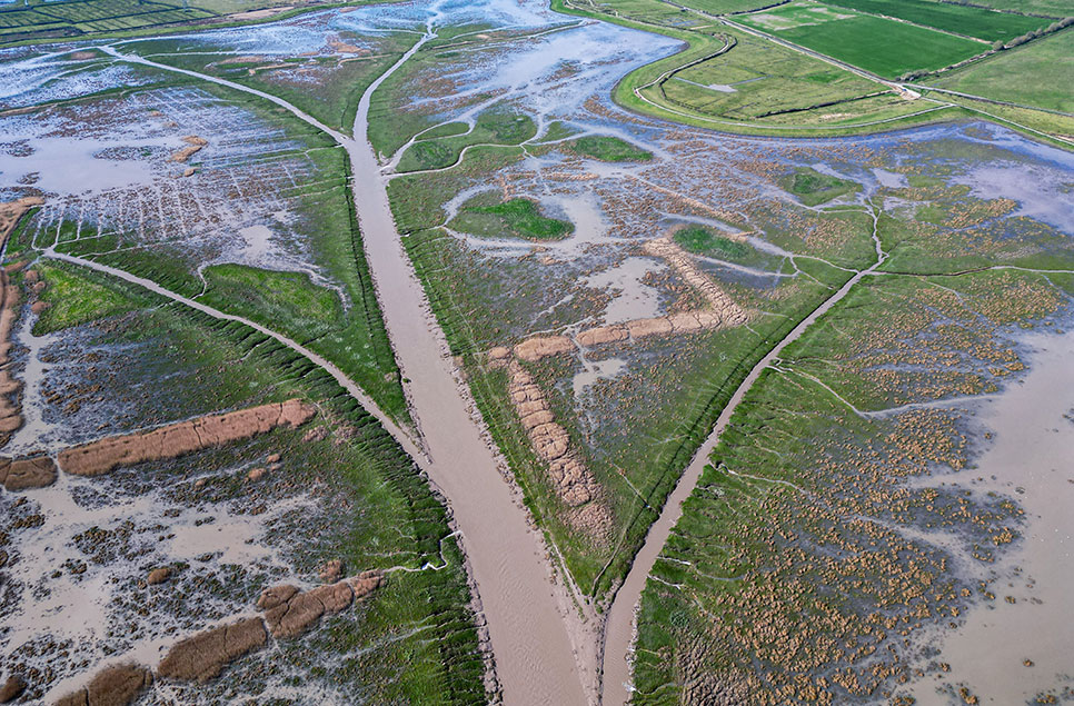 WWT Steart Marshes will connect coastal communities with help from  The National Lottery Heritage Fund
