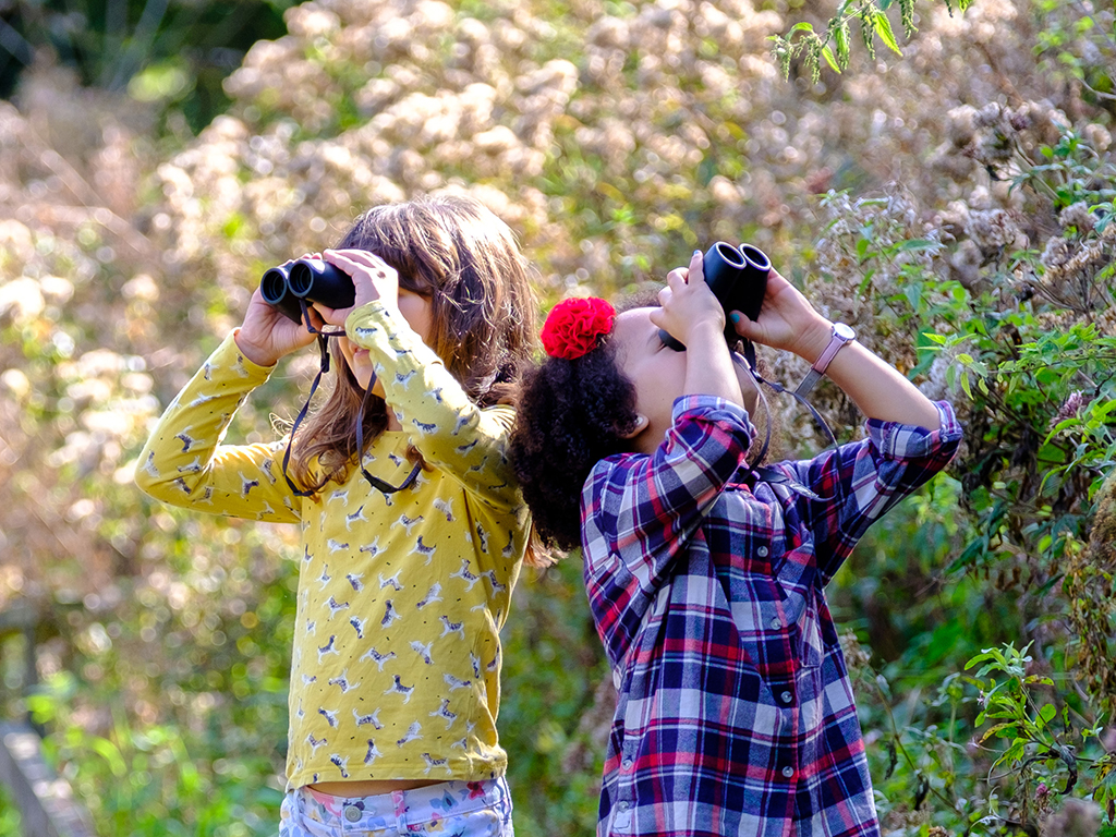View: Family Optics Demo Day - 10% Off