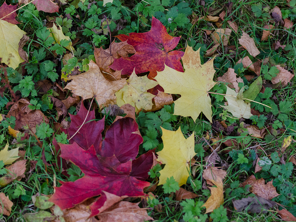 Opening time at  noon on Oct 13 & 14