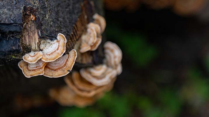 View: Walk With A Warden: September