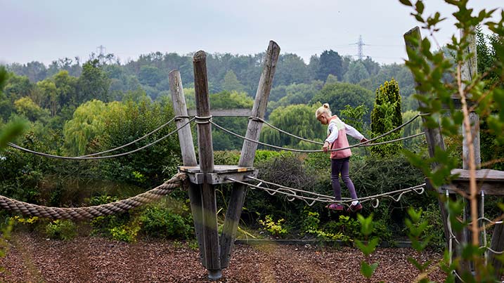 Rope bridge adventure play at WWT Washington