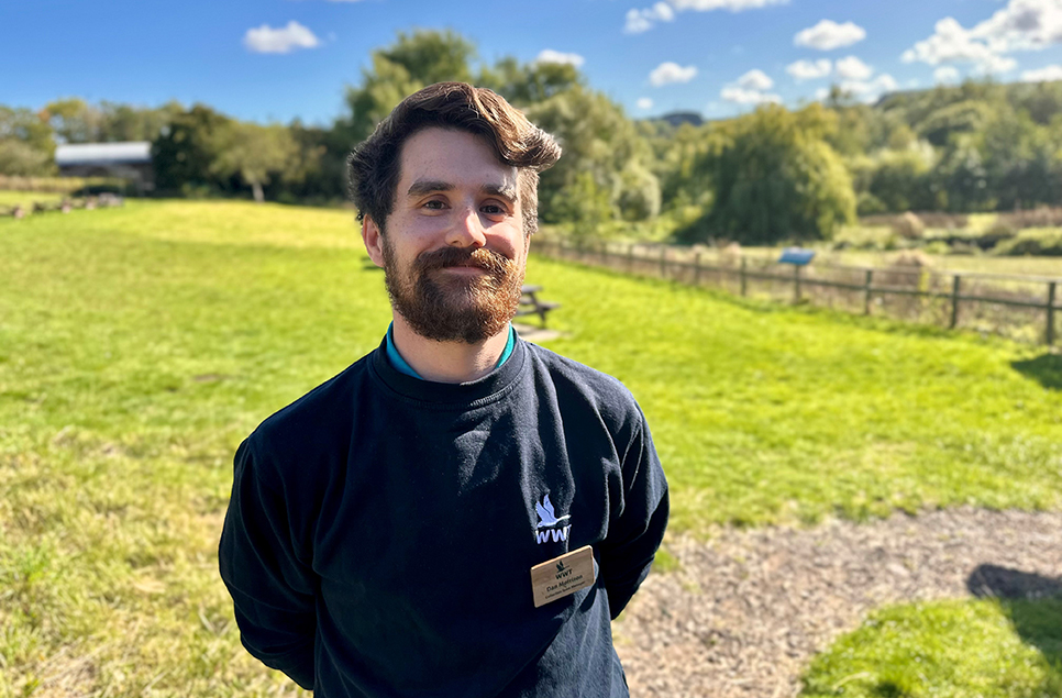 Meet the team: Dan Morrison - Collection Team Manager