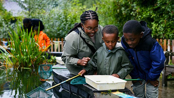 Pond dipping