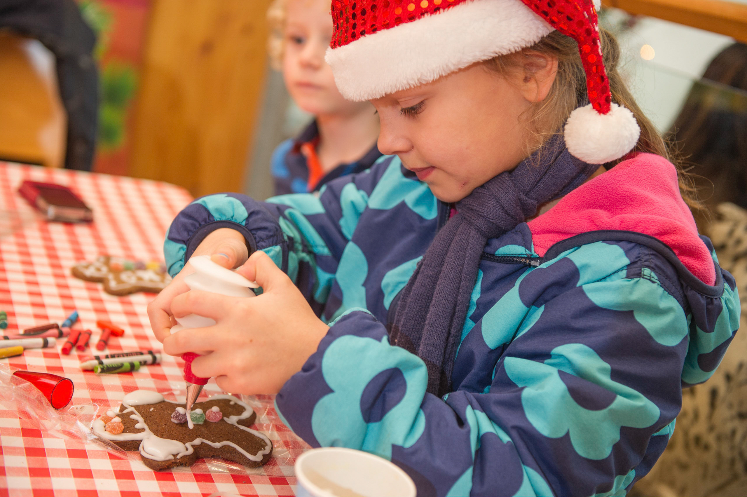 View: Festive Family Fun Days