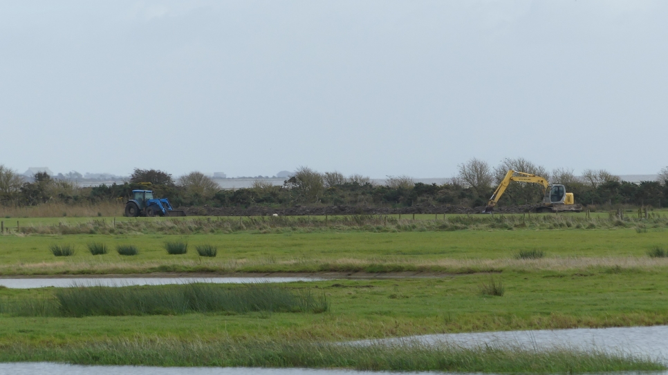 Why are wetlands so important?