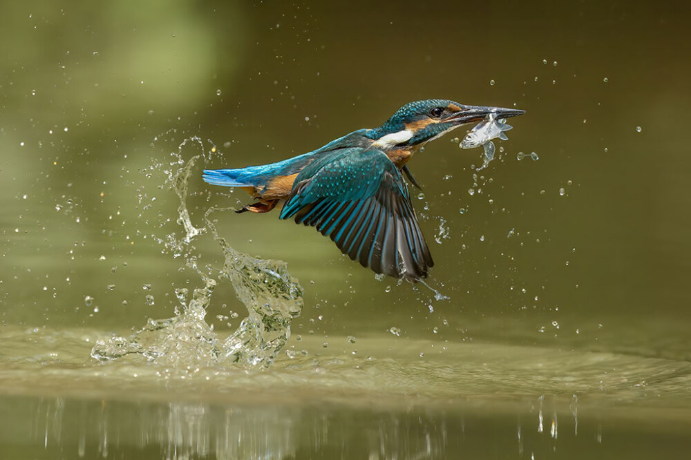 Wildlife Sightings for 14th August 2026