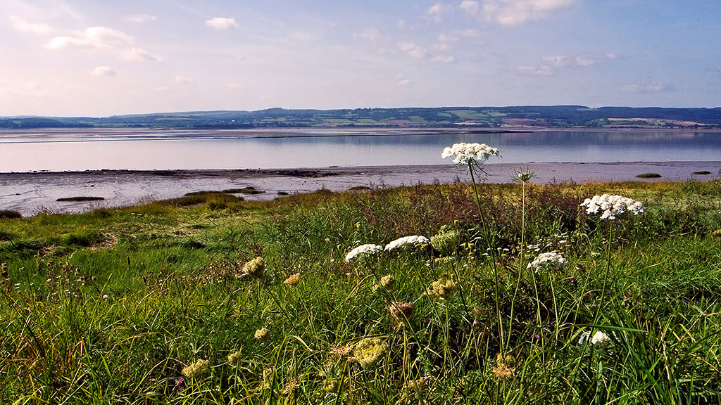 Connecting with wetlands