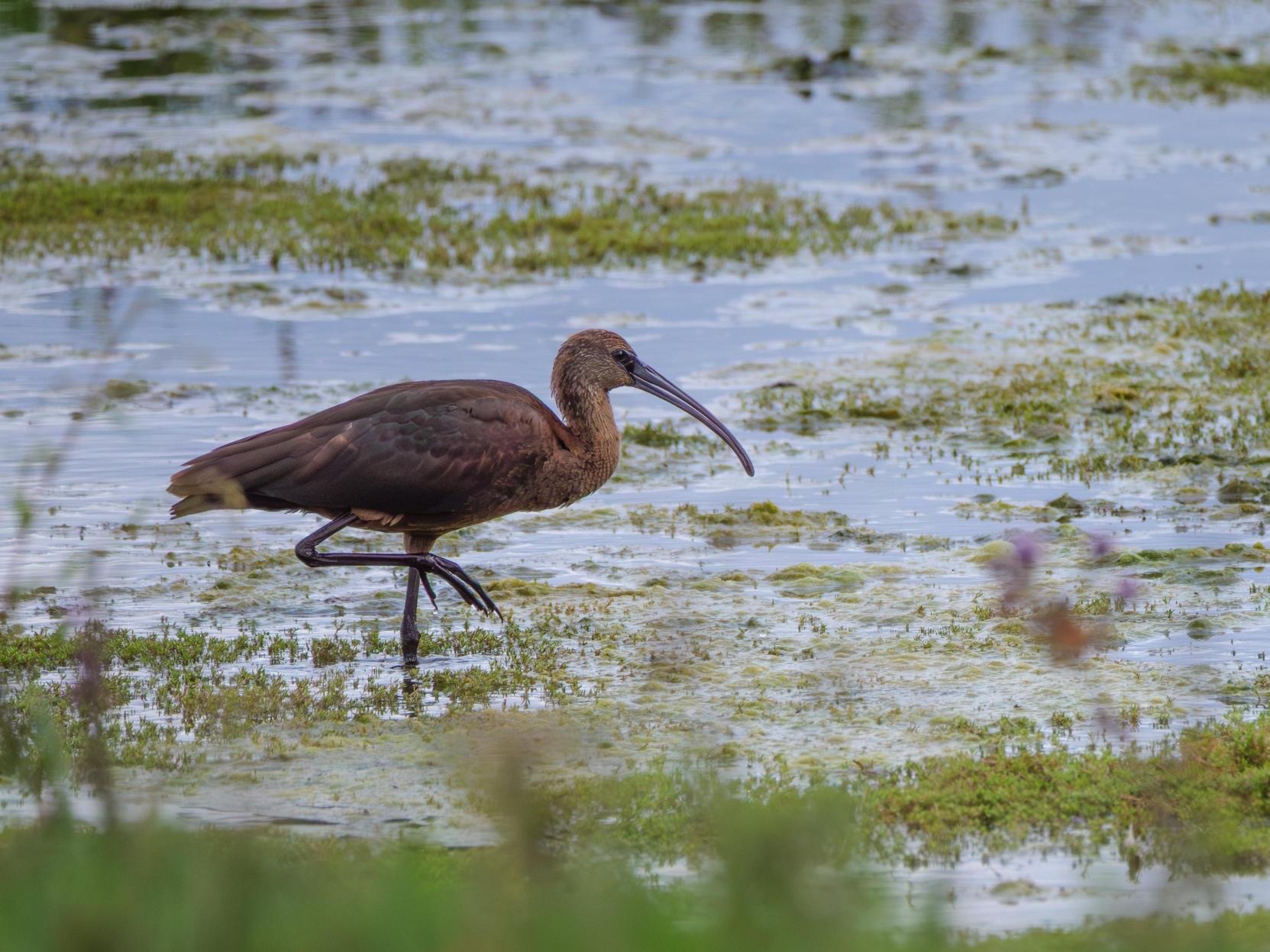 Wildlife Sightings for 23rd October 2025