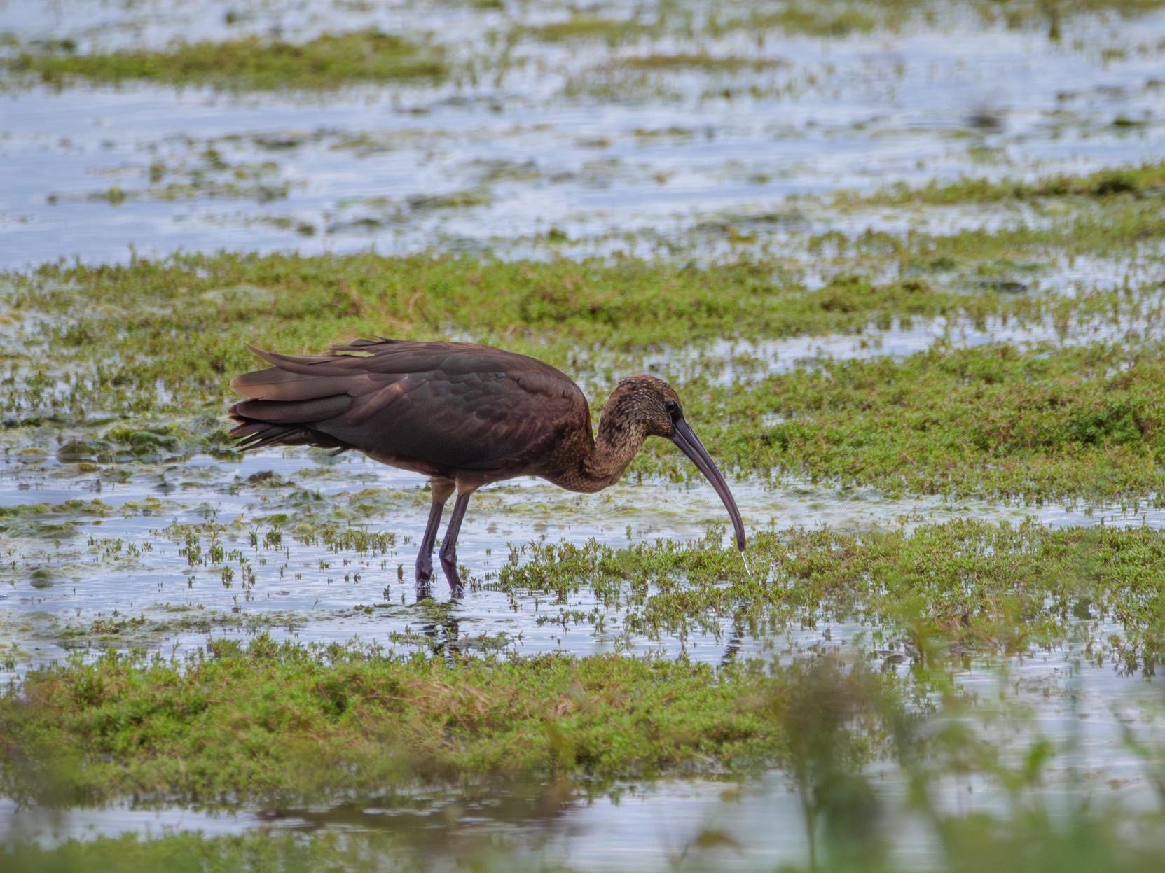 Wildlife sightings for 15th October 2025