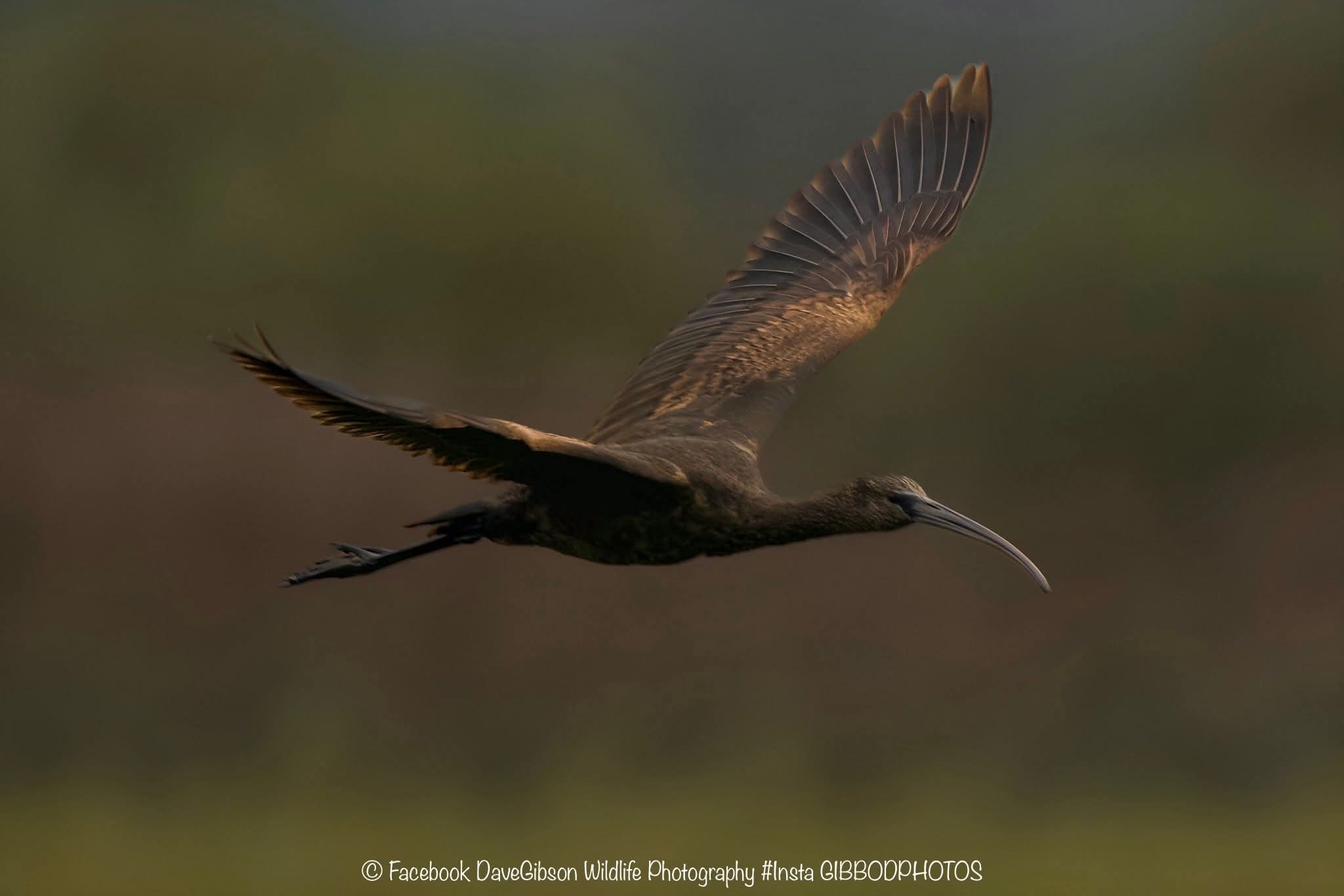Latest Sightings
