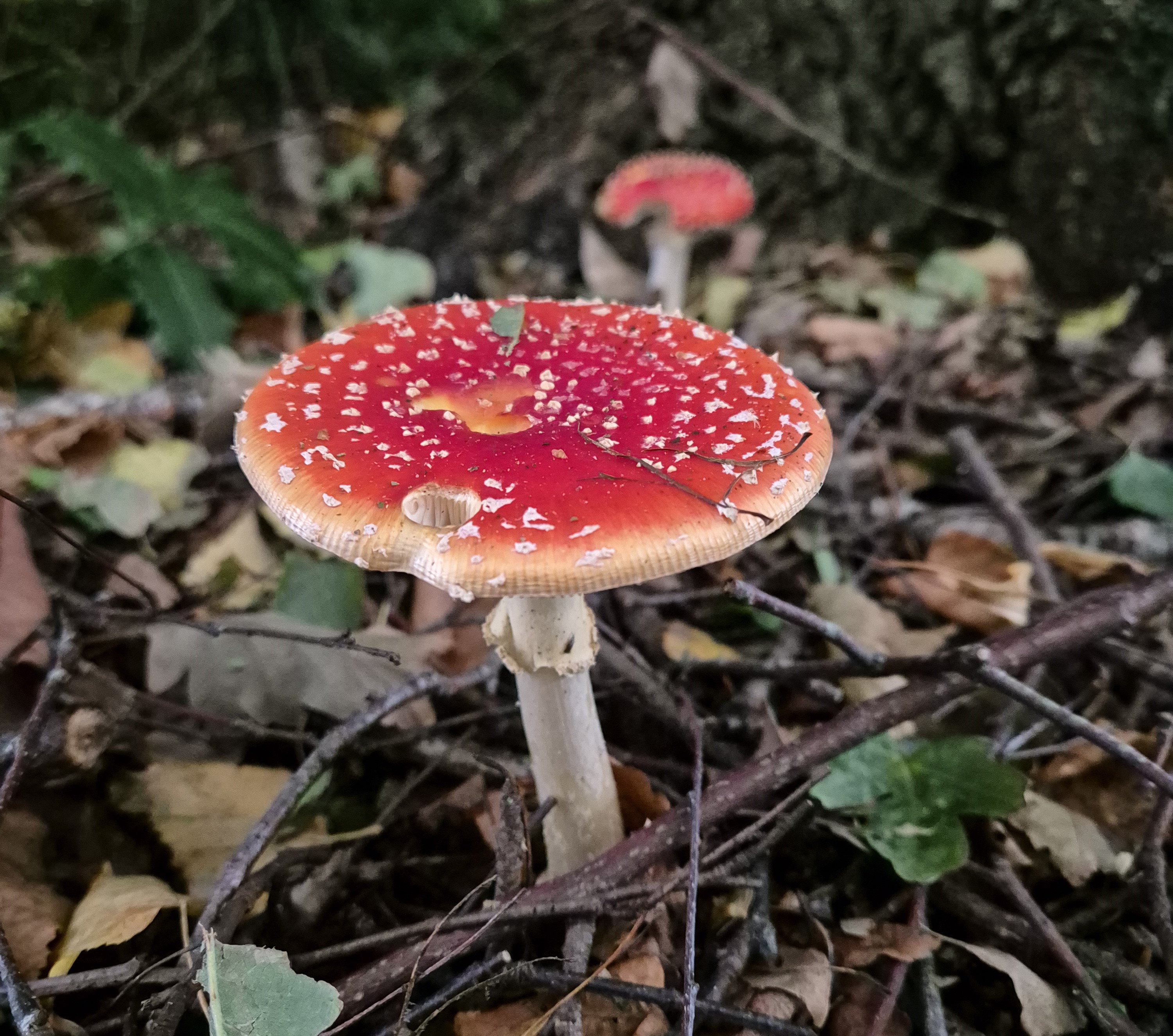 Latest Sightings
