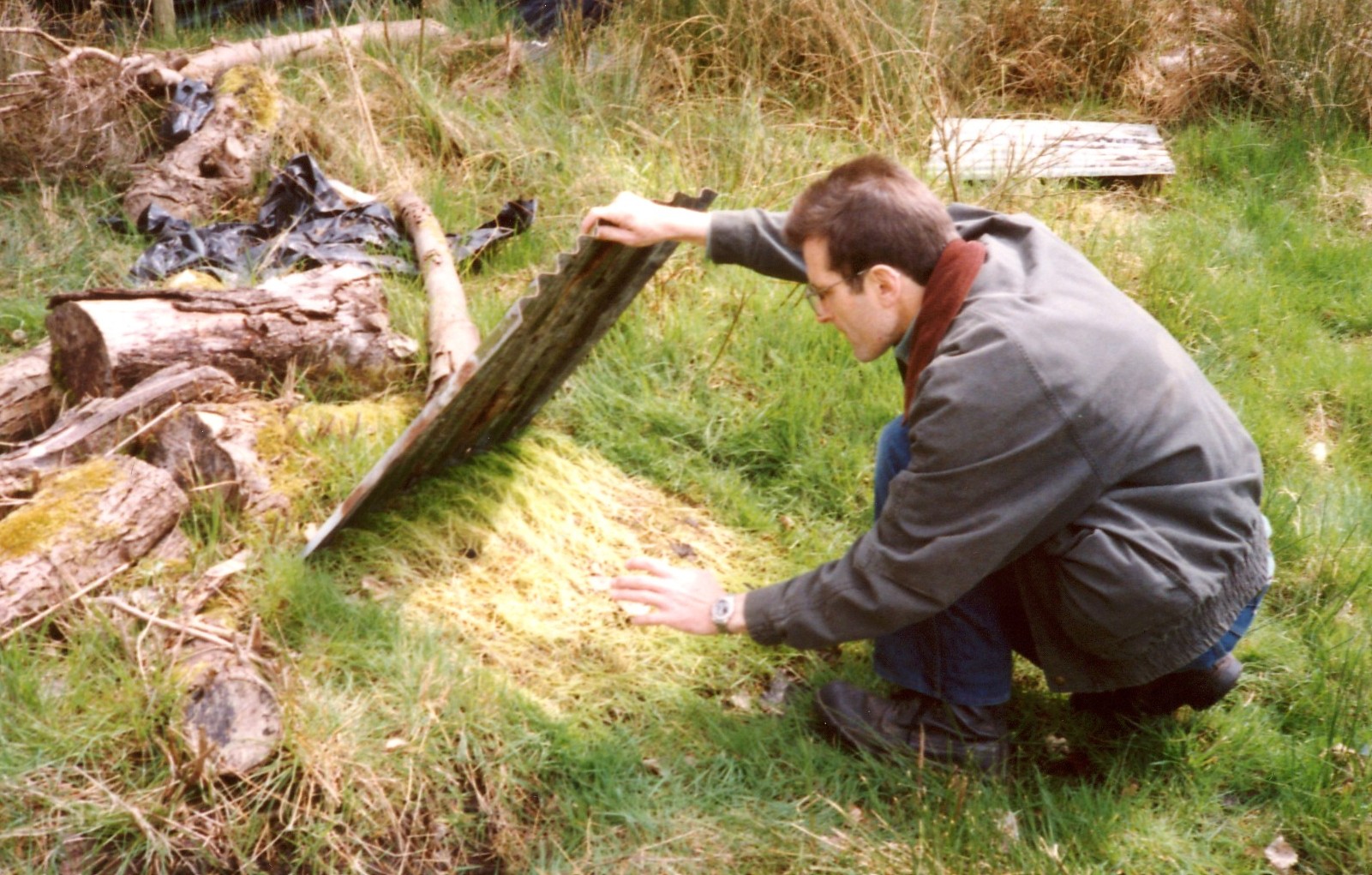 Slow worms of the wetlands