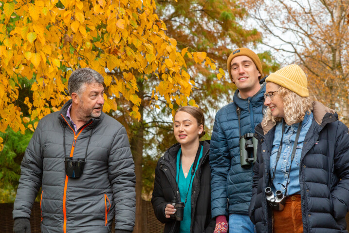 View: Golden Tales & Autumn Trails