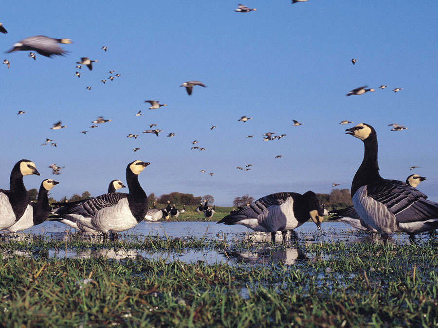 Summer Exploring Whatever the Weather