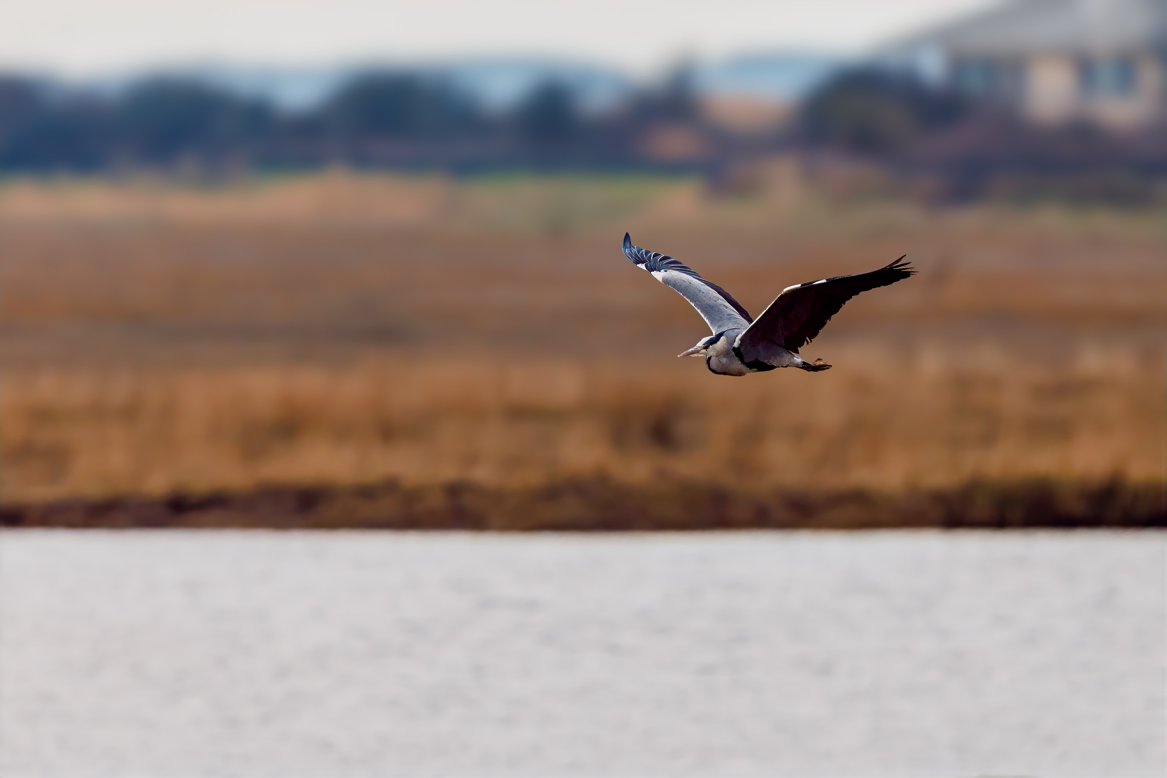 Wildlife Photography Workshop with Paul Way: December 2026