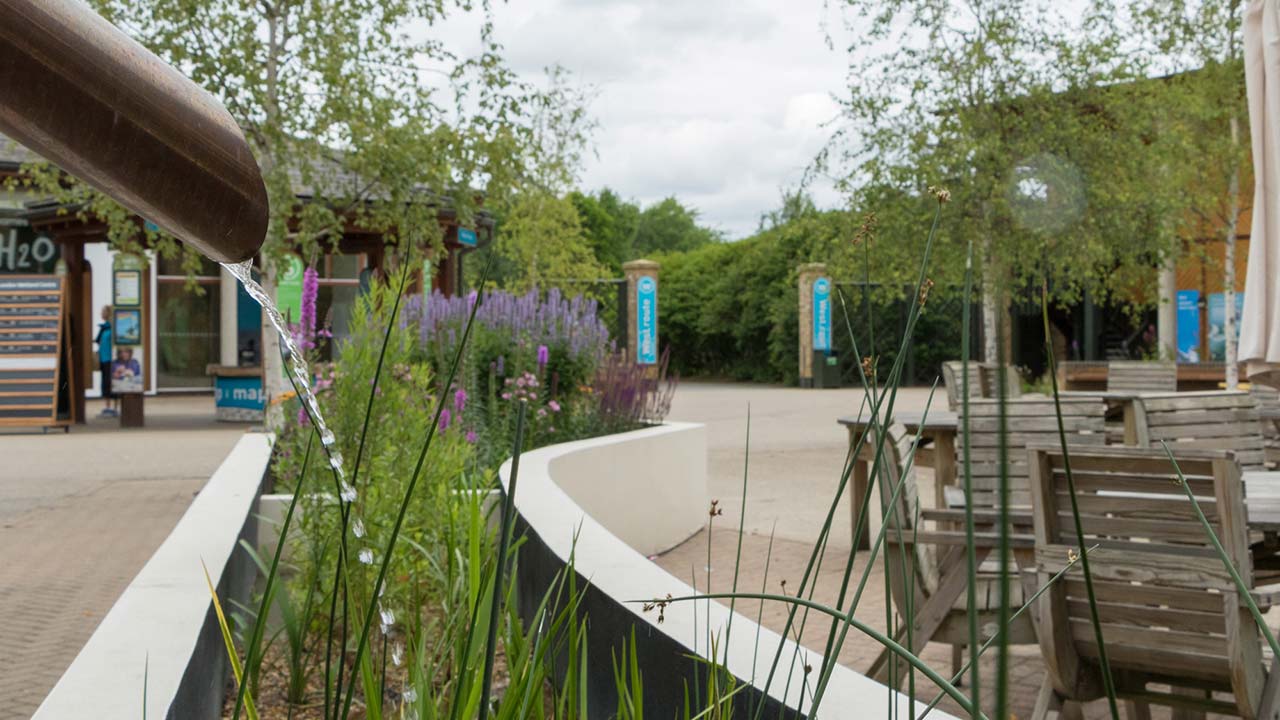 Sustainability at WWT London