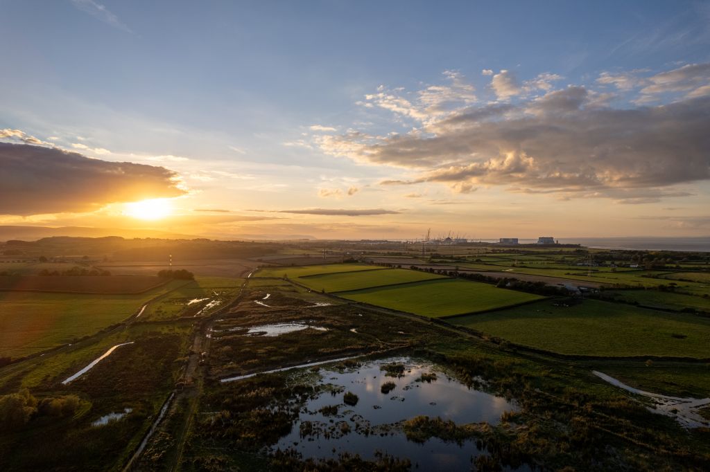 Exploring Steart Marshes and The Meads