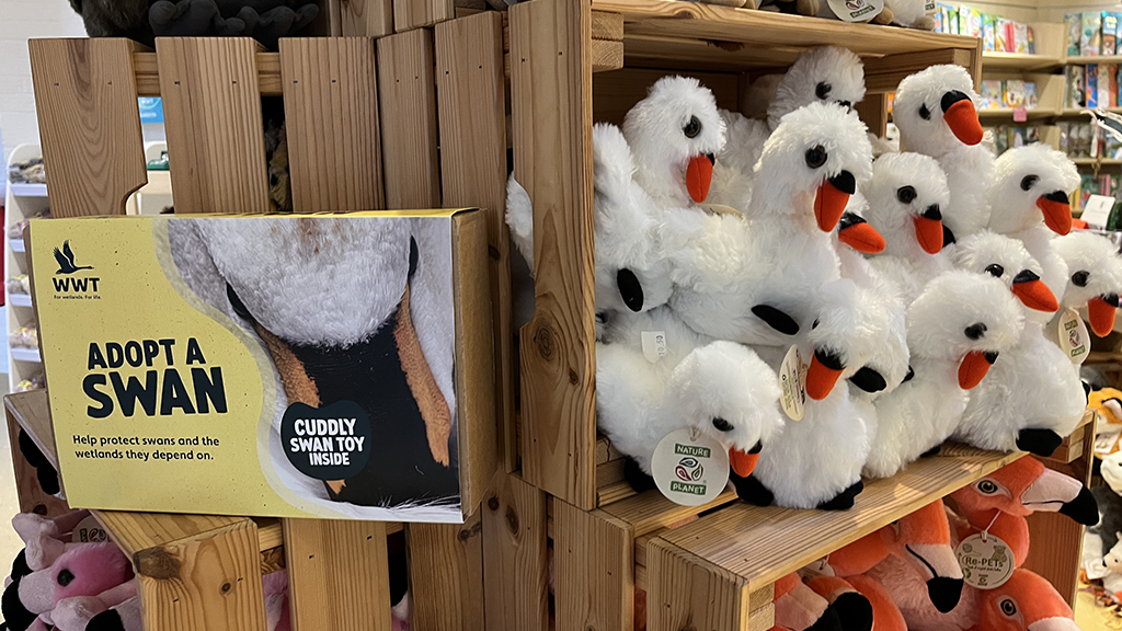 A box labelled Adopt a Swan sits beside a bunch of stuffed toy swans in a wooden crate.