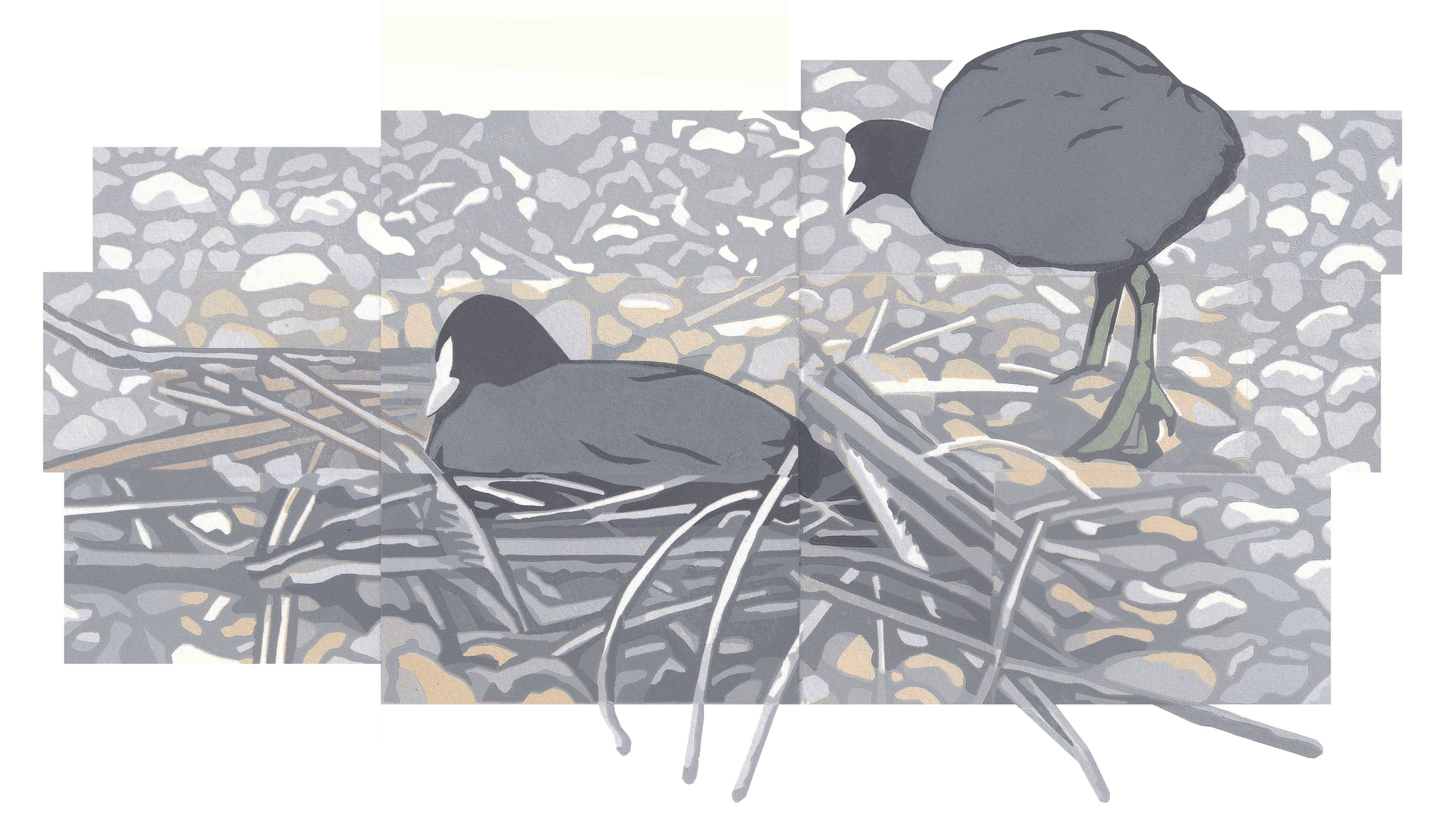 Linocut print collage of two coots nesting