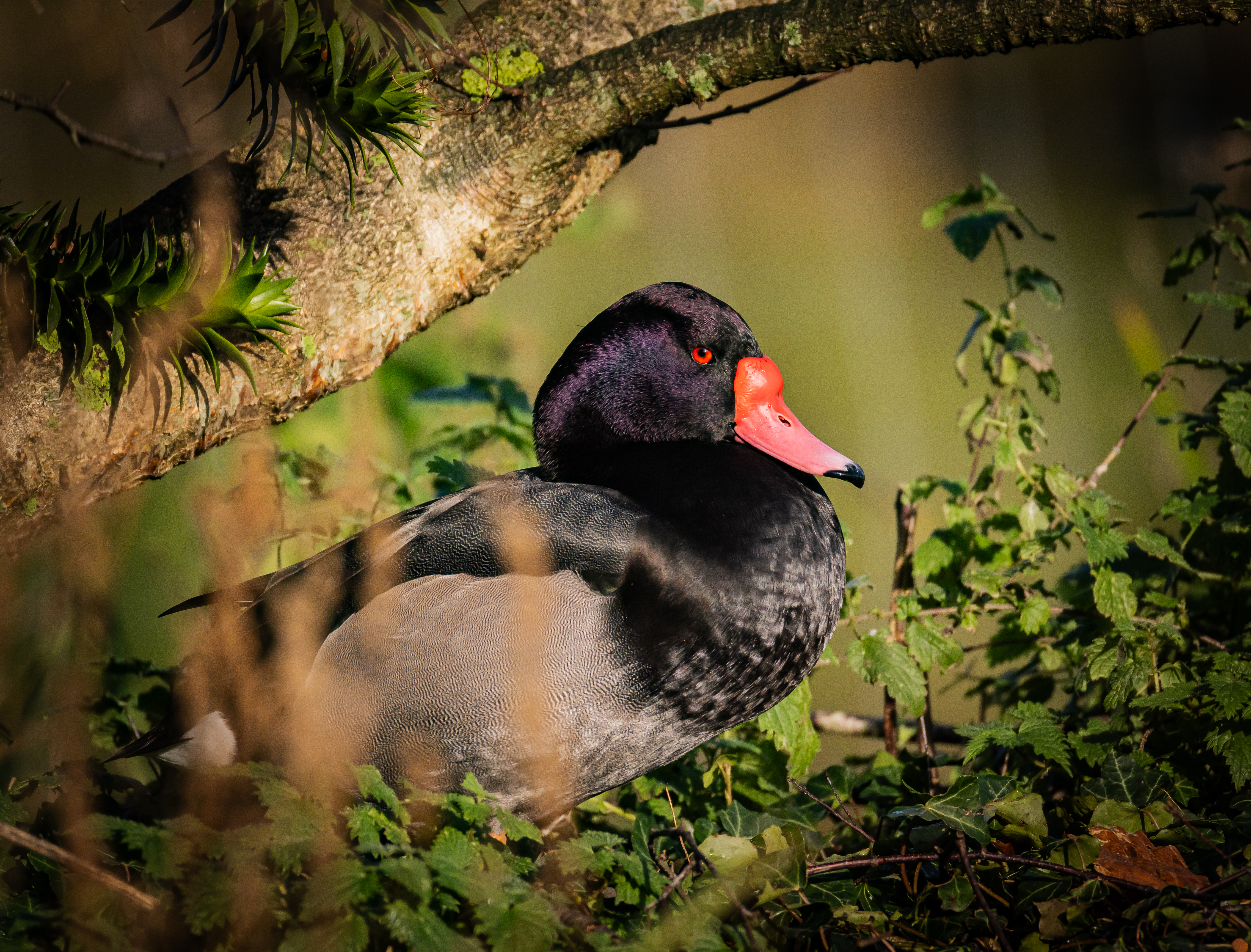 View: Beginner Wildlife Photography Workshop