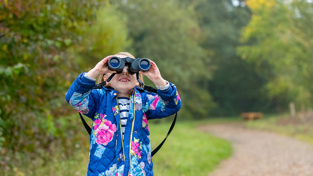 Brilliant Birds Home Education Session 4-7 Yrs