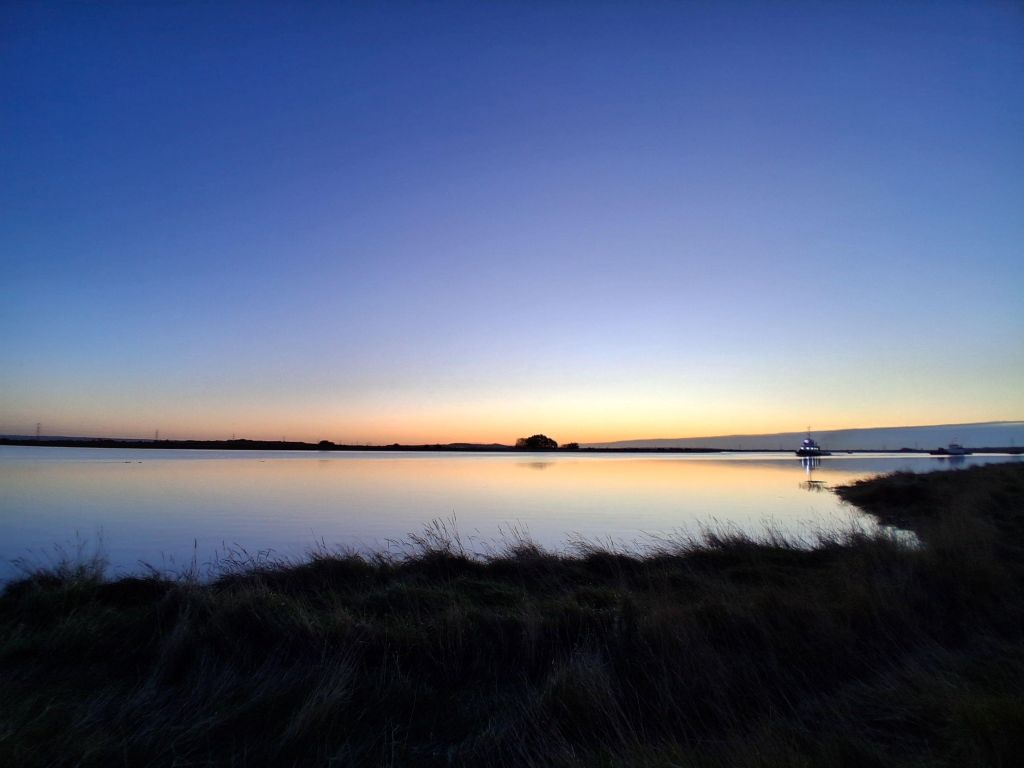 Welcome to the new year at Steart Marshes!