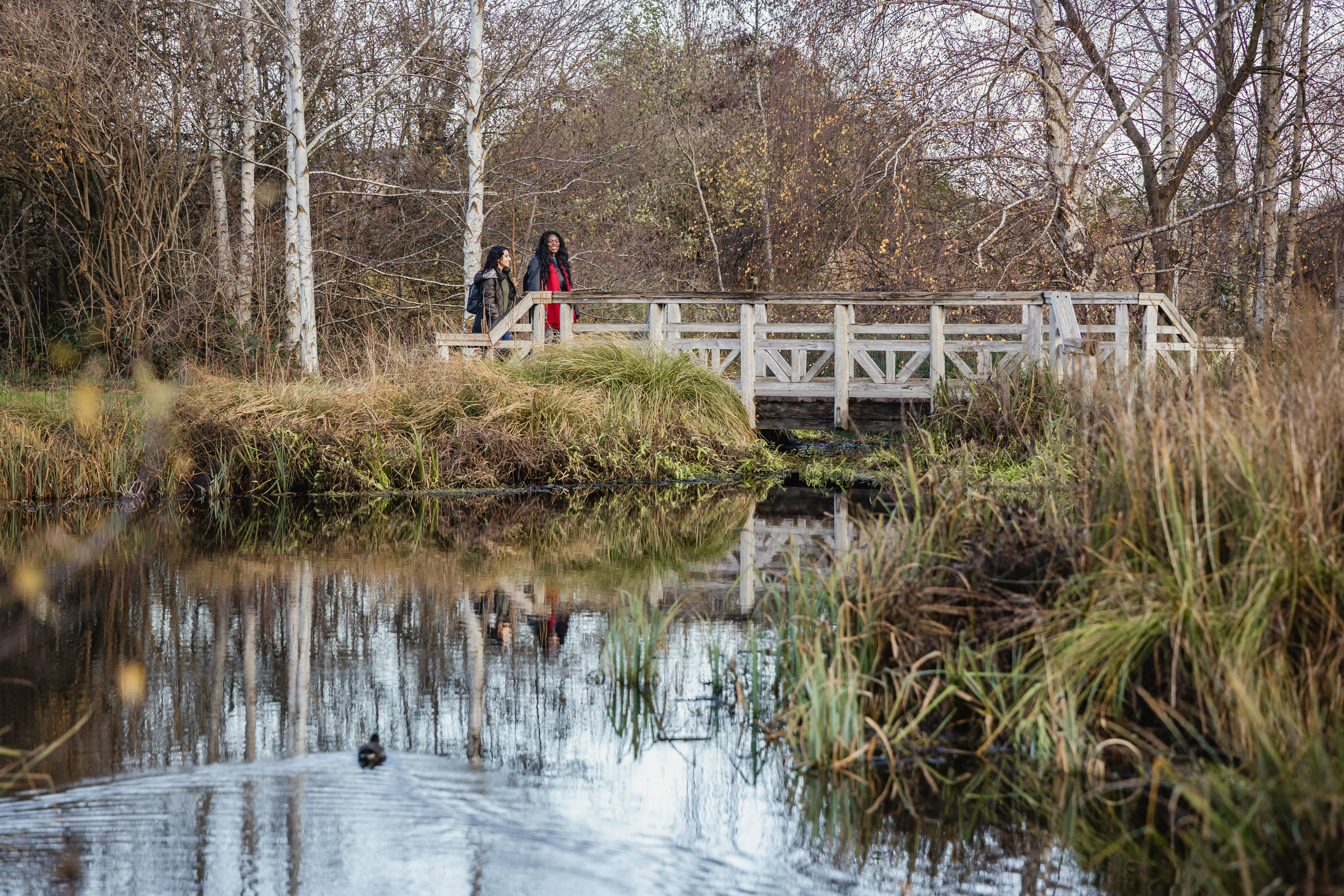 World Wetlands Day Walk (FREE)