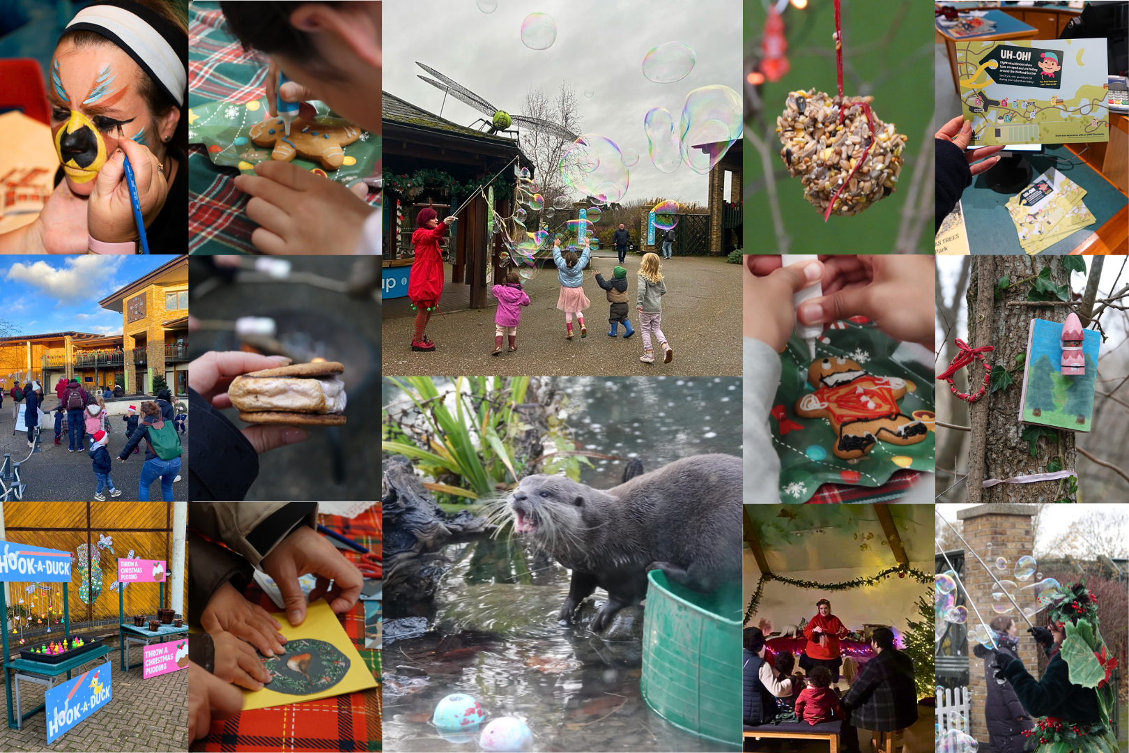 Festive family fun and gifts for nature this christmas