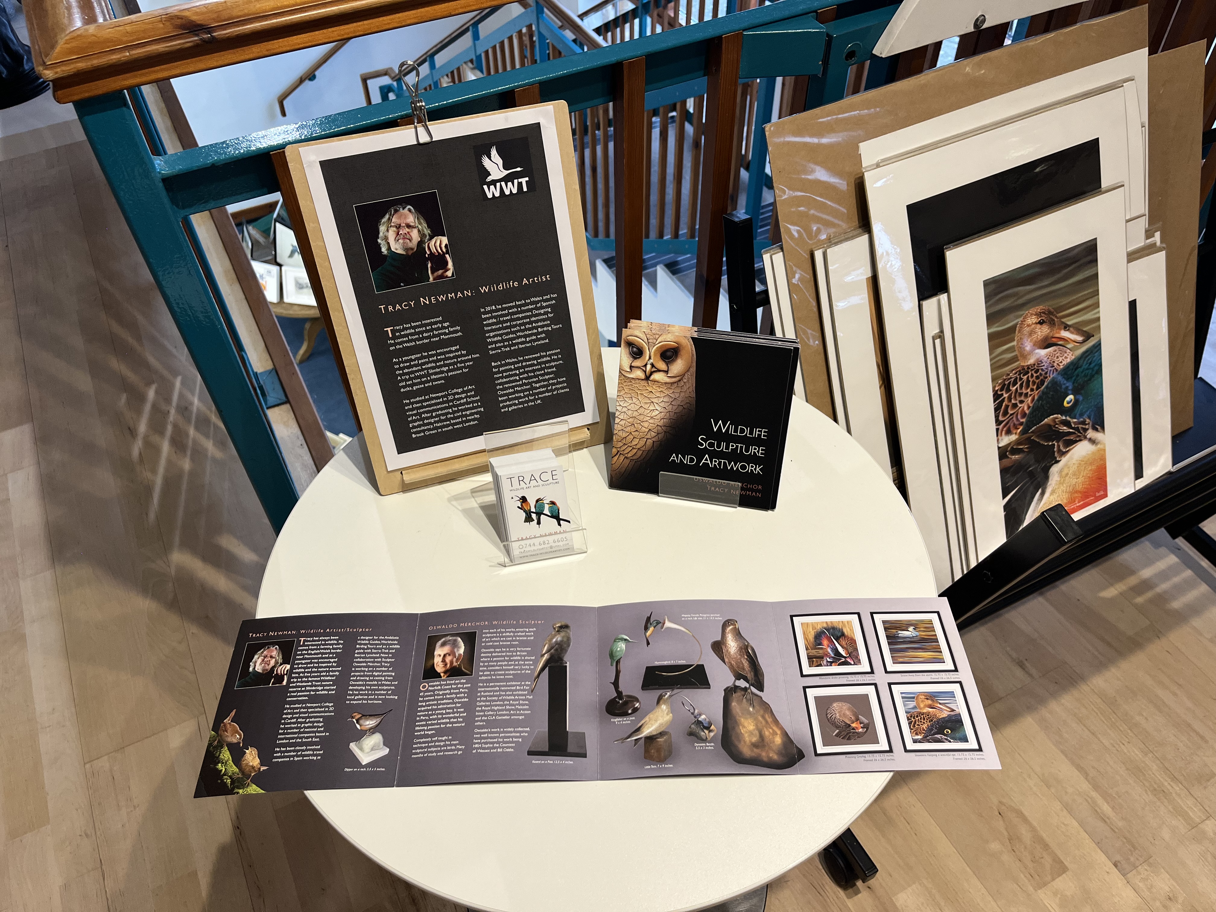 Meet the Artist: Live Painting with Tracy Newman