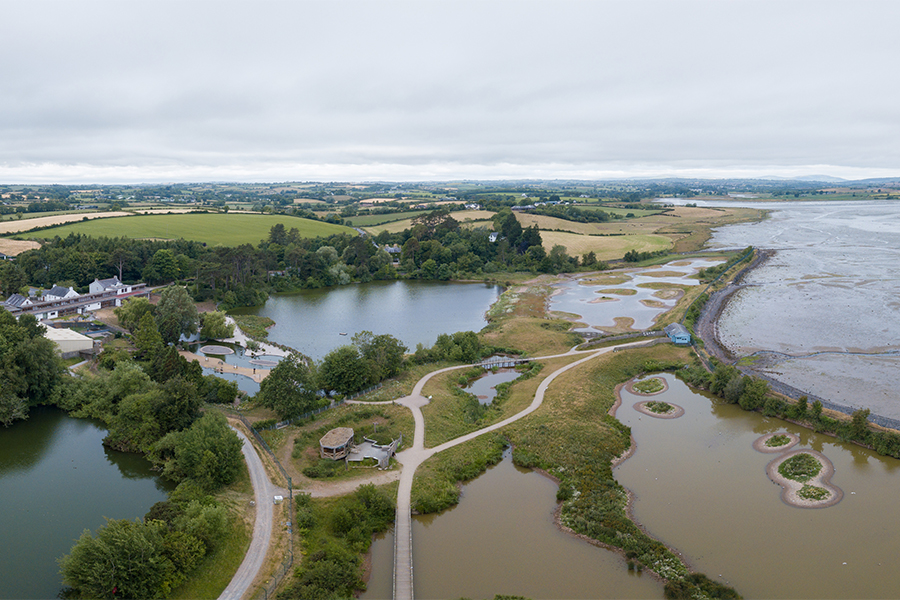 WWT Castle Espie on the shores of Strangford Lough