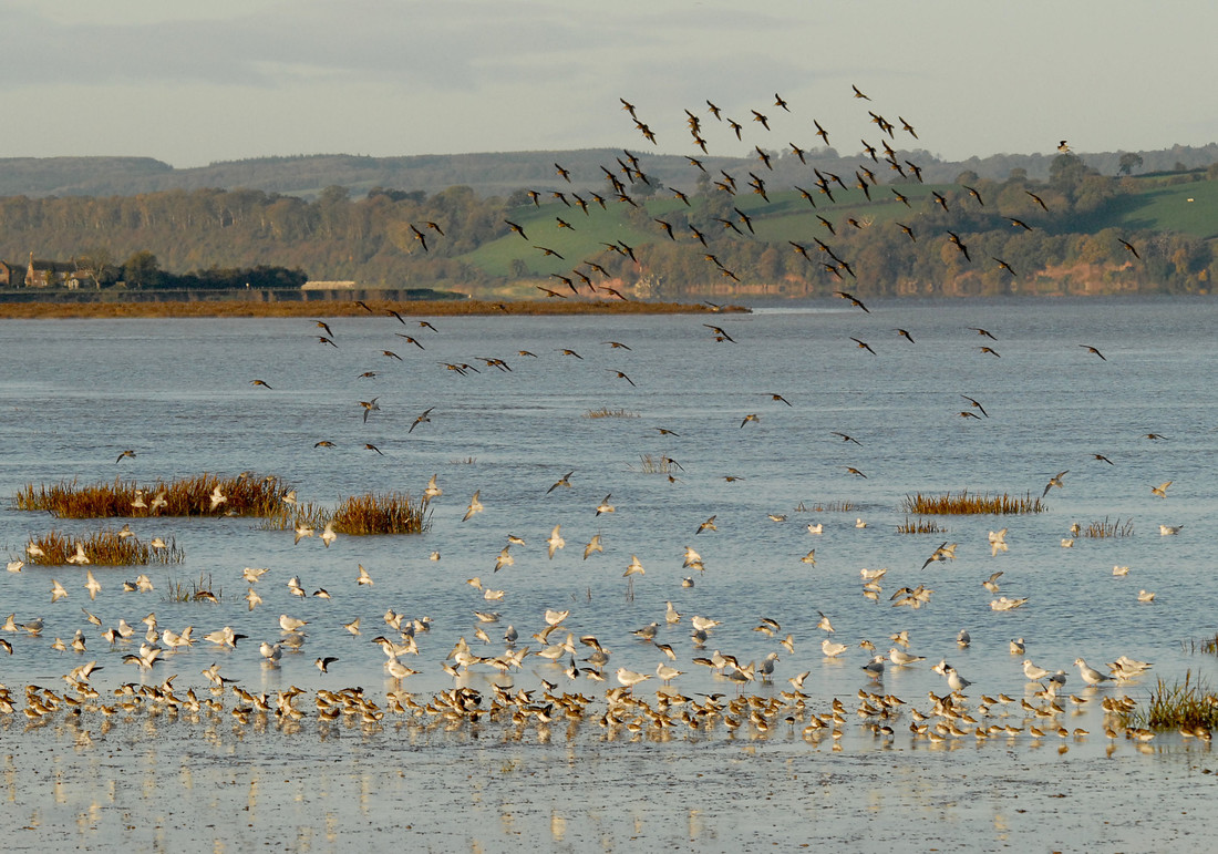 View: Catch the Tide